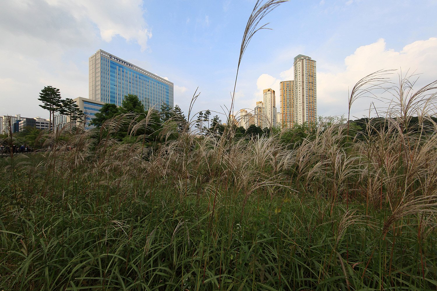 2059 CH4A6363-2R.jpg