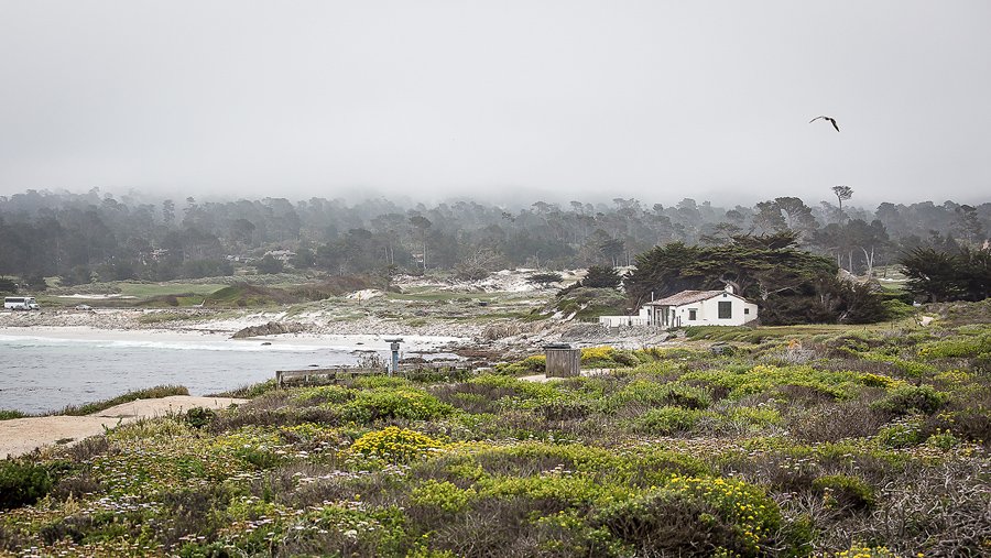 in 17 마일 드라이브 4-1.jpg