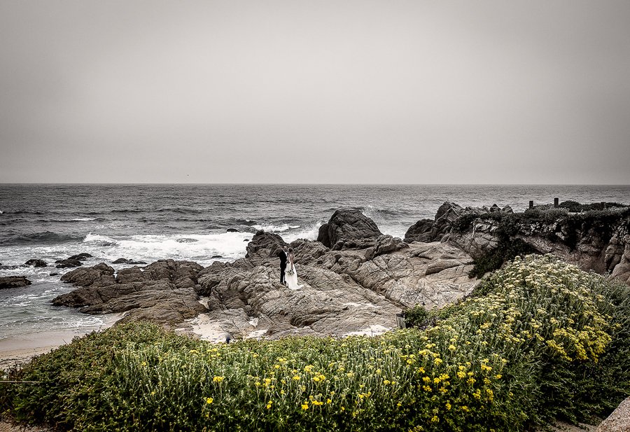 in 17 마일 드라이브 31-1.jpg