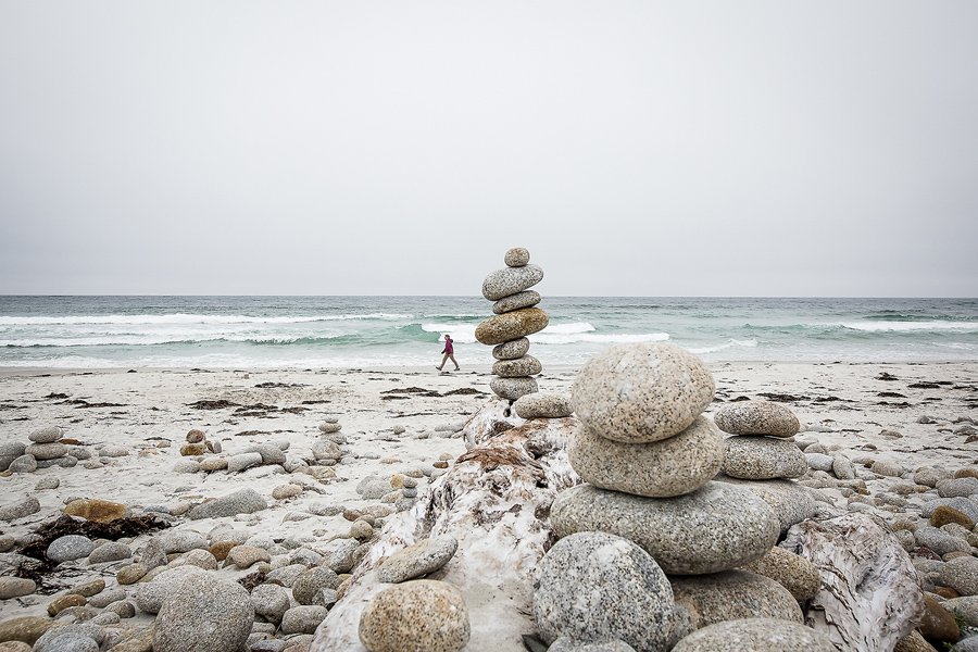 in 17 마일 드라이브 2-1.jpg