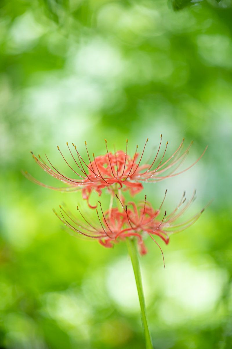 20190921 - 선운사 - 875A4377-2.jpg