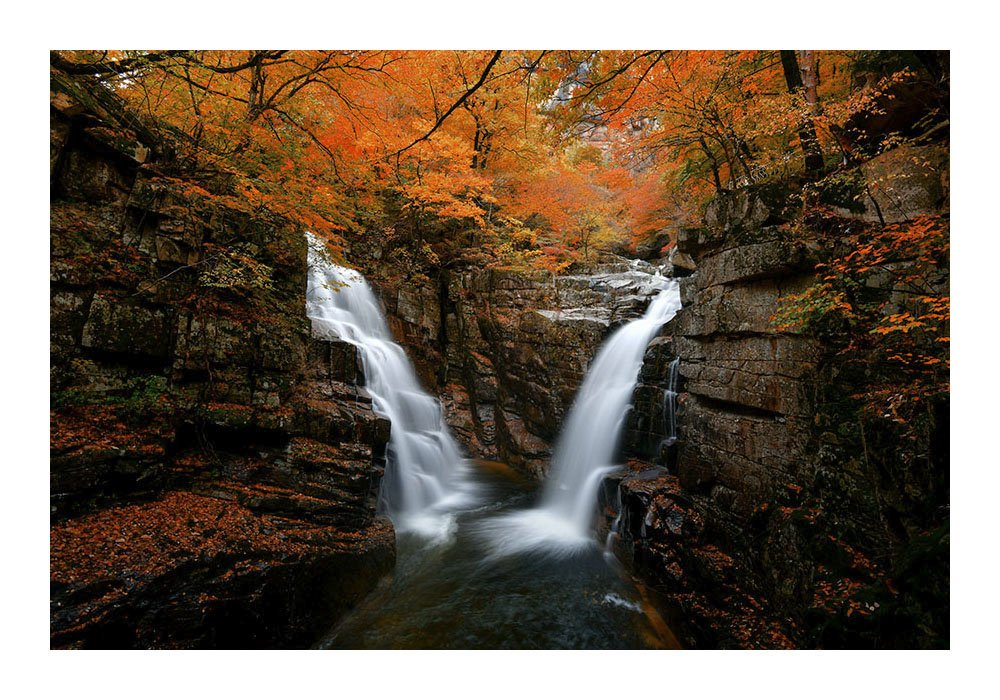 제목 없음-901-.jpg