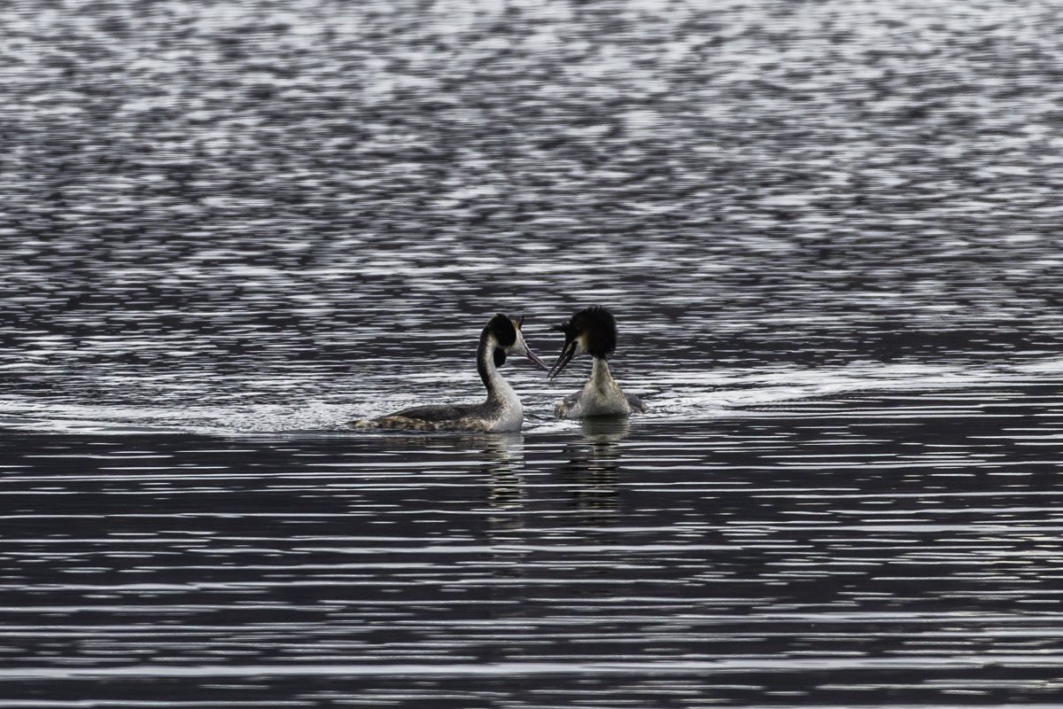 _P7A7717-향상됨-노이즈 감소.jpg