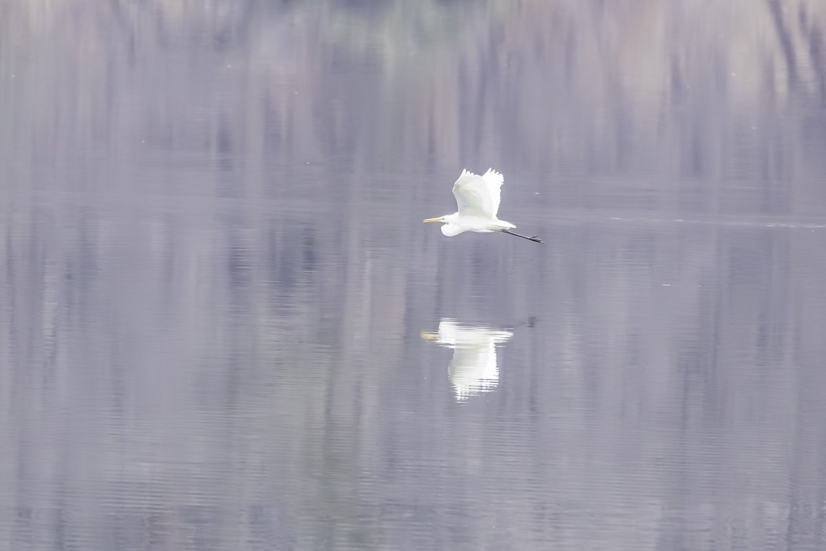 _P7A7417-향상됨-노이즈 감소.jpg