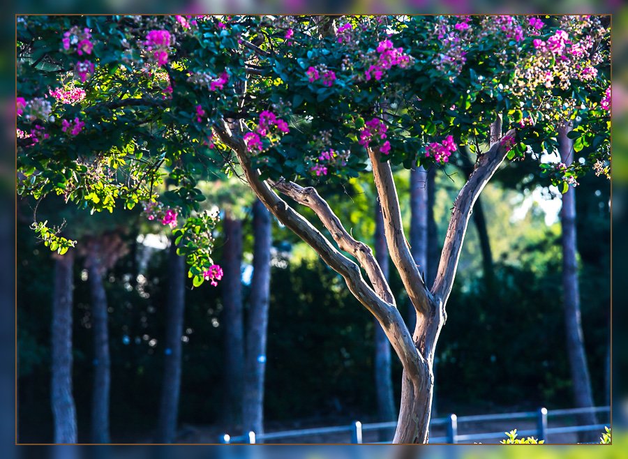 인 베롱이 4-1 수정.jpg
