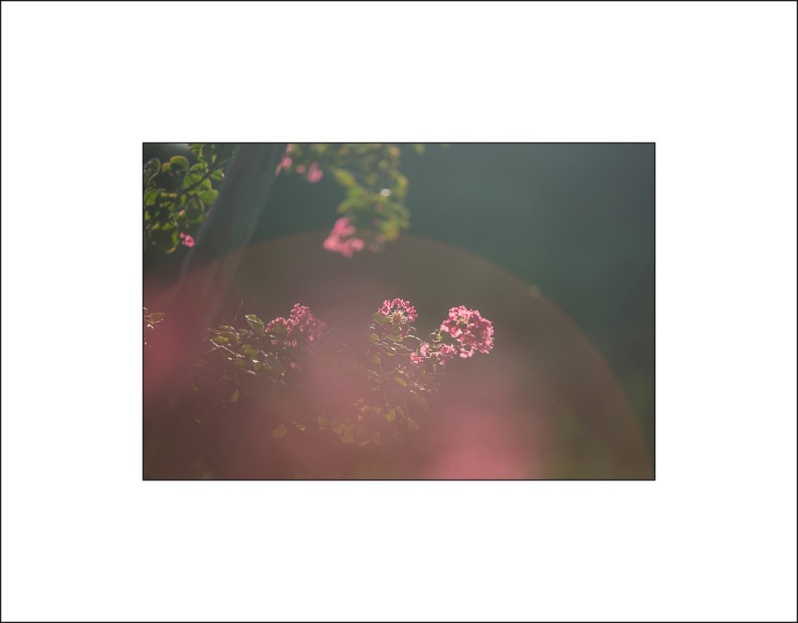 인 베롱이 6-1 수정.jpg