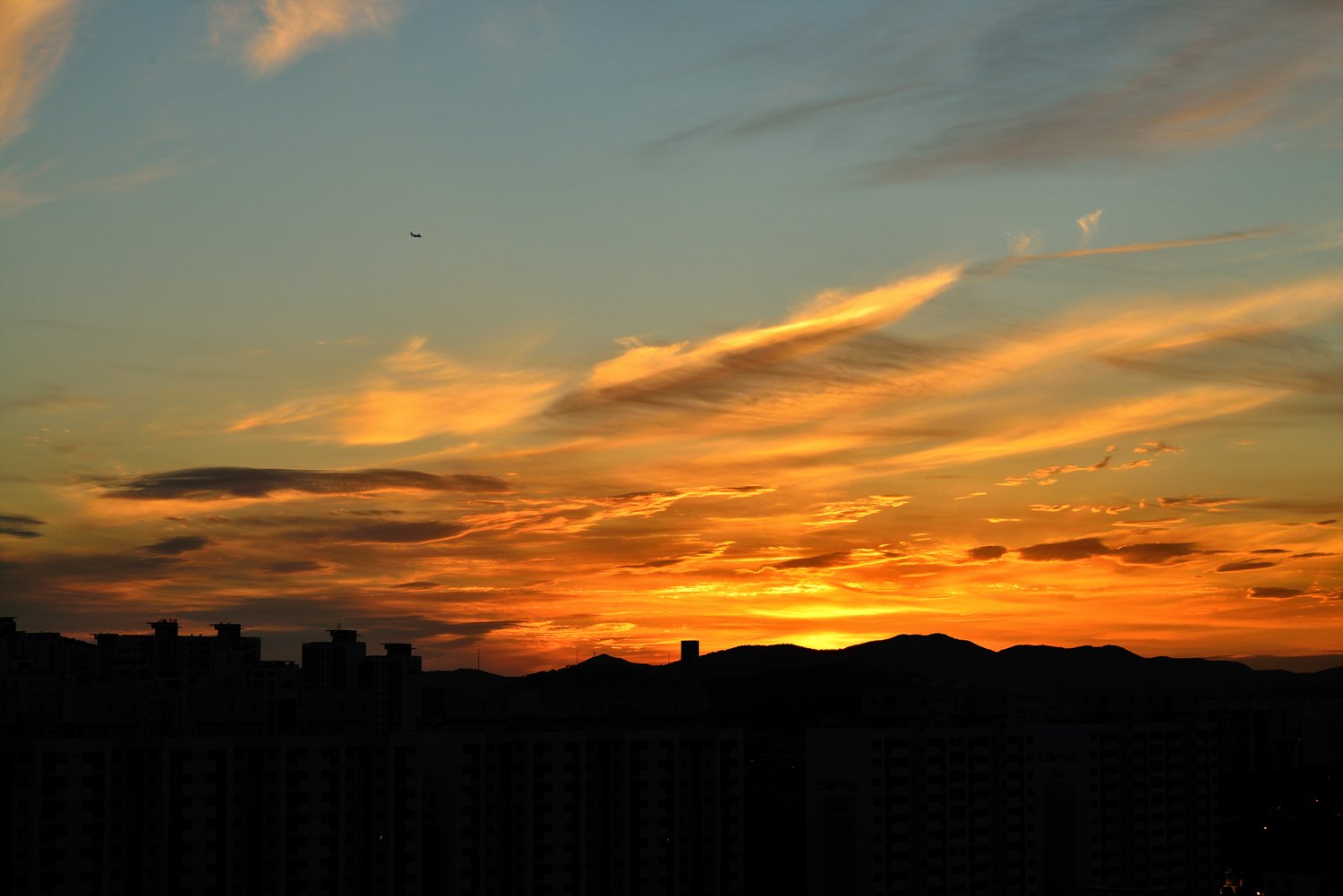 DSC_0183.jpg