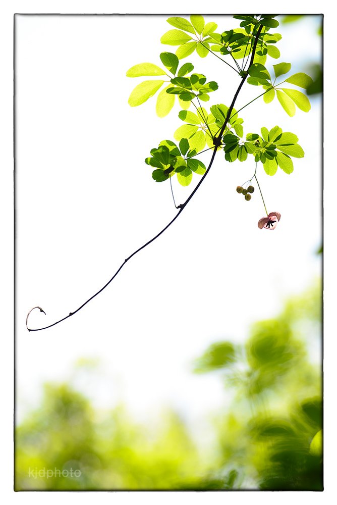 2018-04-29 13-25-15-55-12.jpg