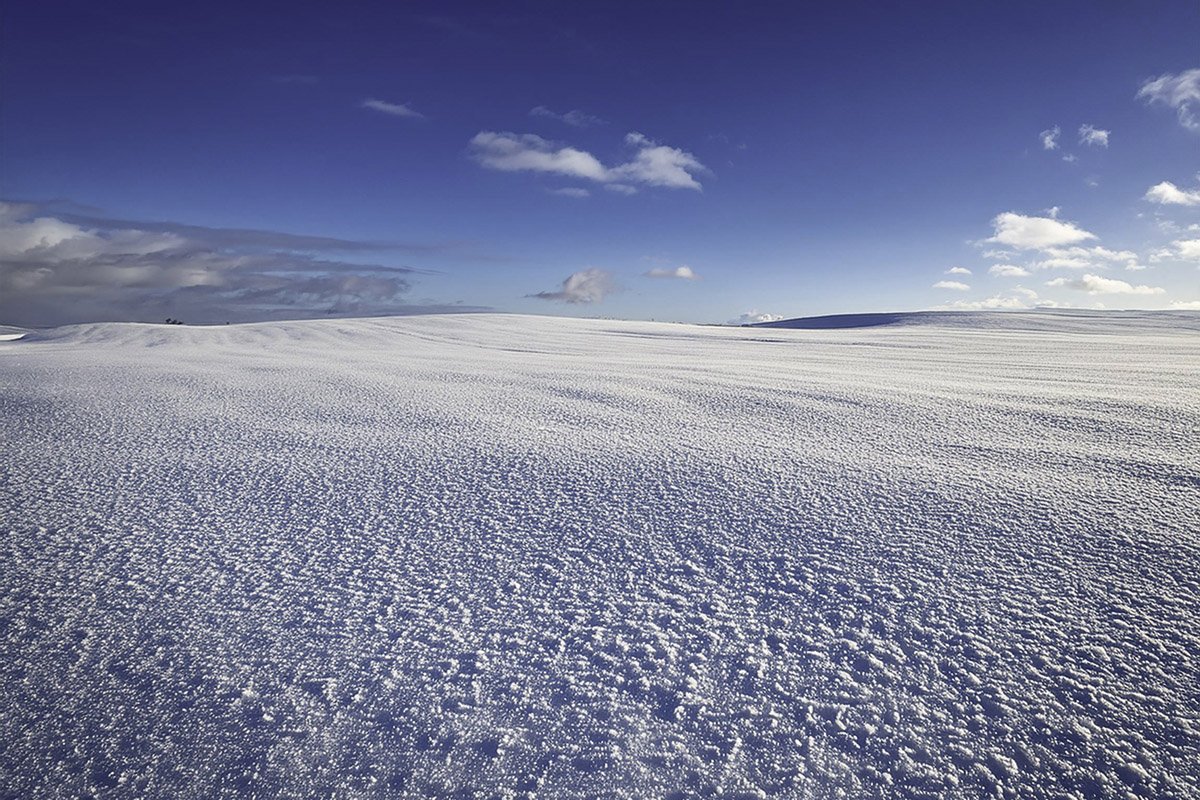 HONG0077 1200-800.jpg