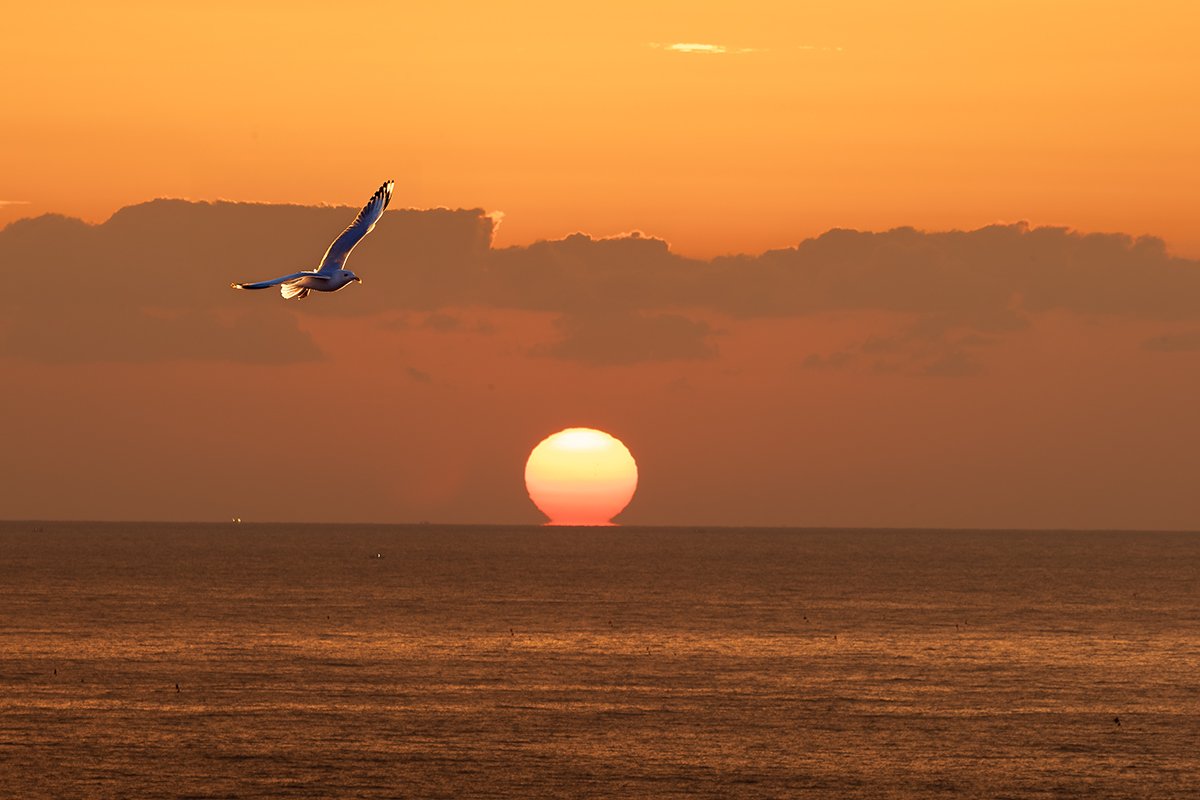 _P7A5644 복사 2.jpg