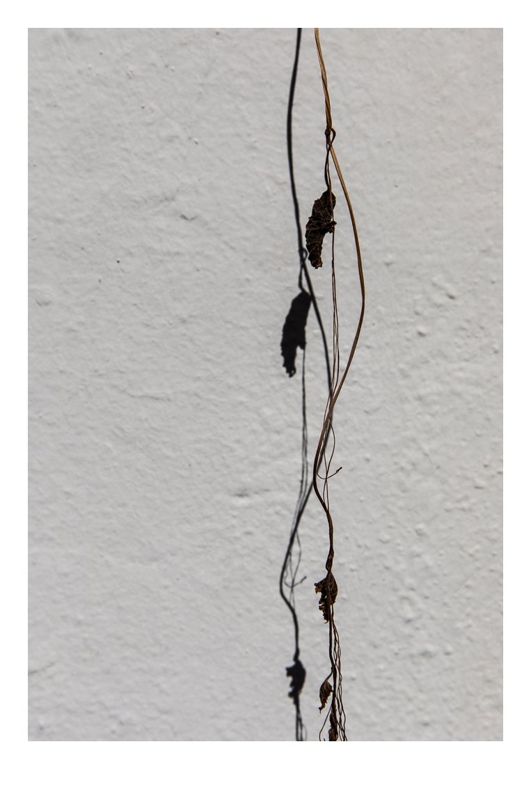 4J1A4406 편집1-3 편집2.jpg