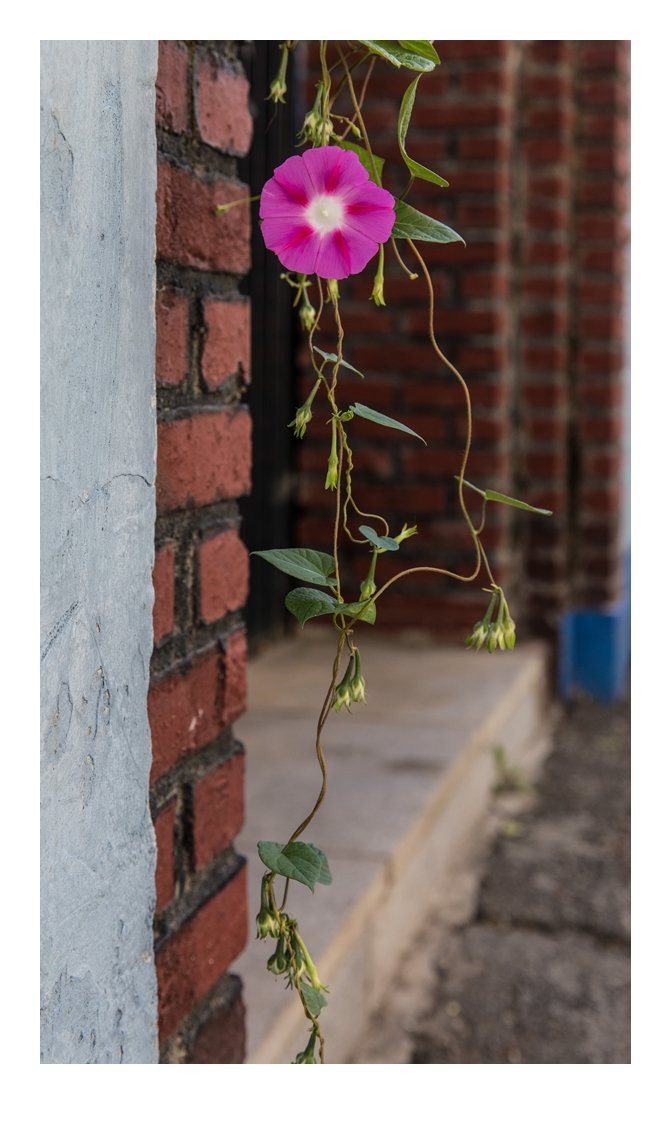 4J1A4442 편집1-3 편집2.JPG