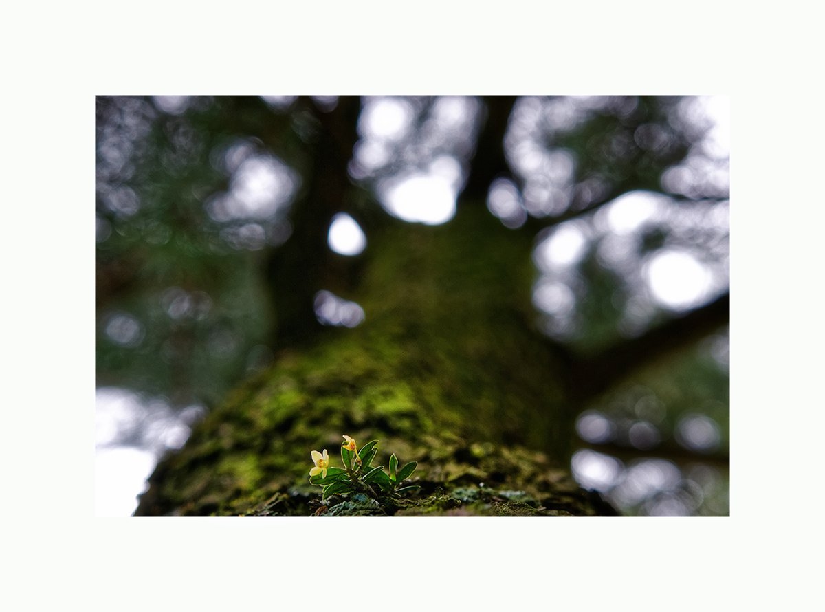 20160508 104833-62D-12.jpg