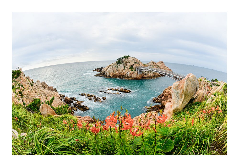 제목 없음-12.jpg