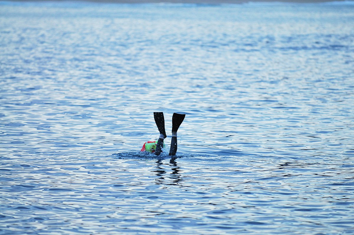 2016-12-07 08-03-47-171-12.jpg