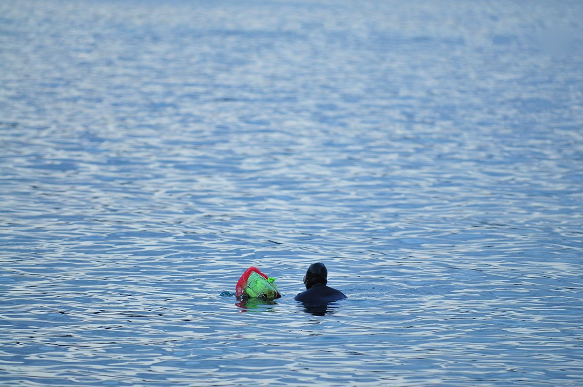 2016-12-07 08-02-38-168-12.jpg