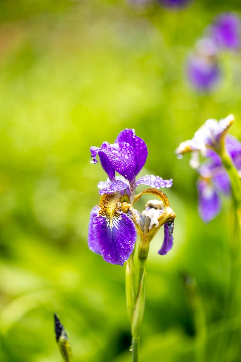 200516-제목 없음-1185.jpg