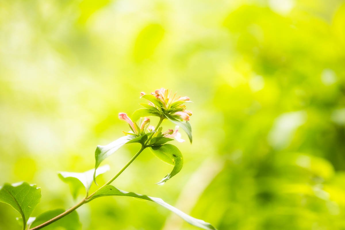 200516-제목 없음-1139.jpg