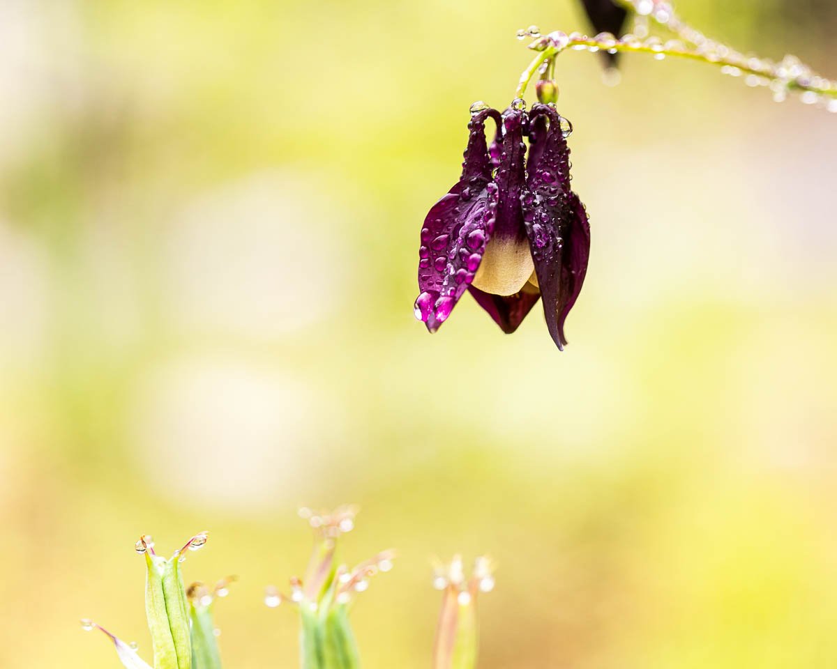 200516-제목 없음-1080.jpg