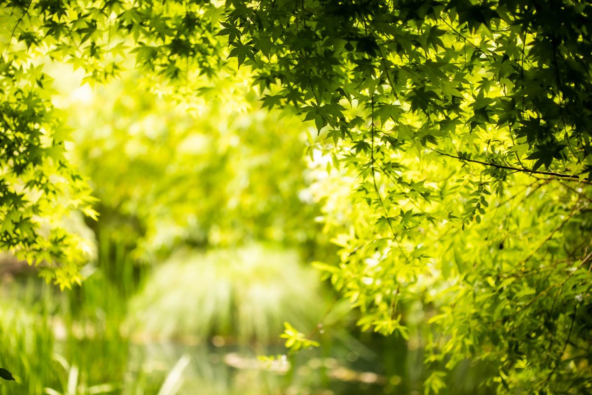 200516-제목 없음-1154.jpg