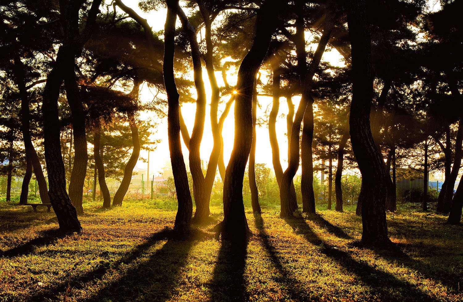 2019-10-30 07-23-20-64-16.jpg