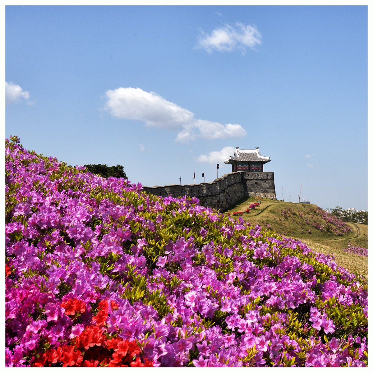 2020-04-23 11-06-03-143-11.jpg