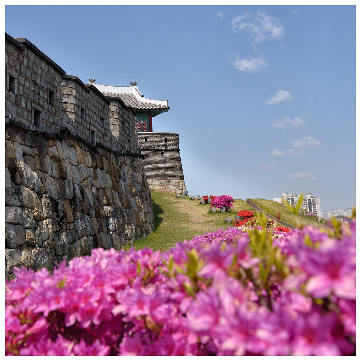 2020-04-23 10-49-05-103-11.jpg