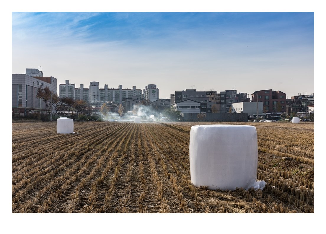 4J1A9711 편집1-3 편집2.JPG