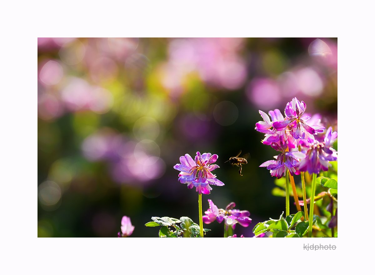 2020-04-04 08-30-20-227-12.jpg