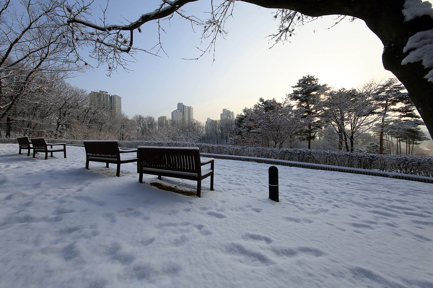 2106 CH4A9234-2R.jpg