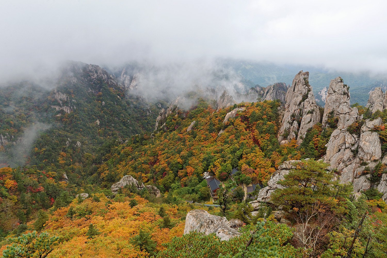 2016-09-29 09-58-24-87D-15.jpg