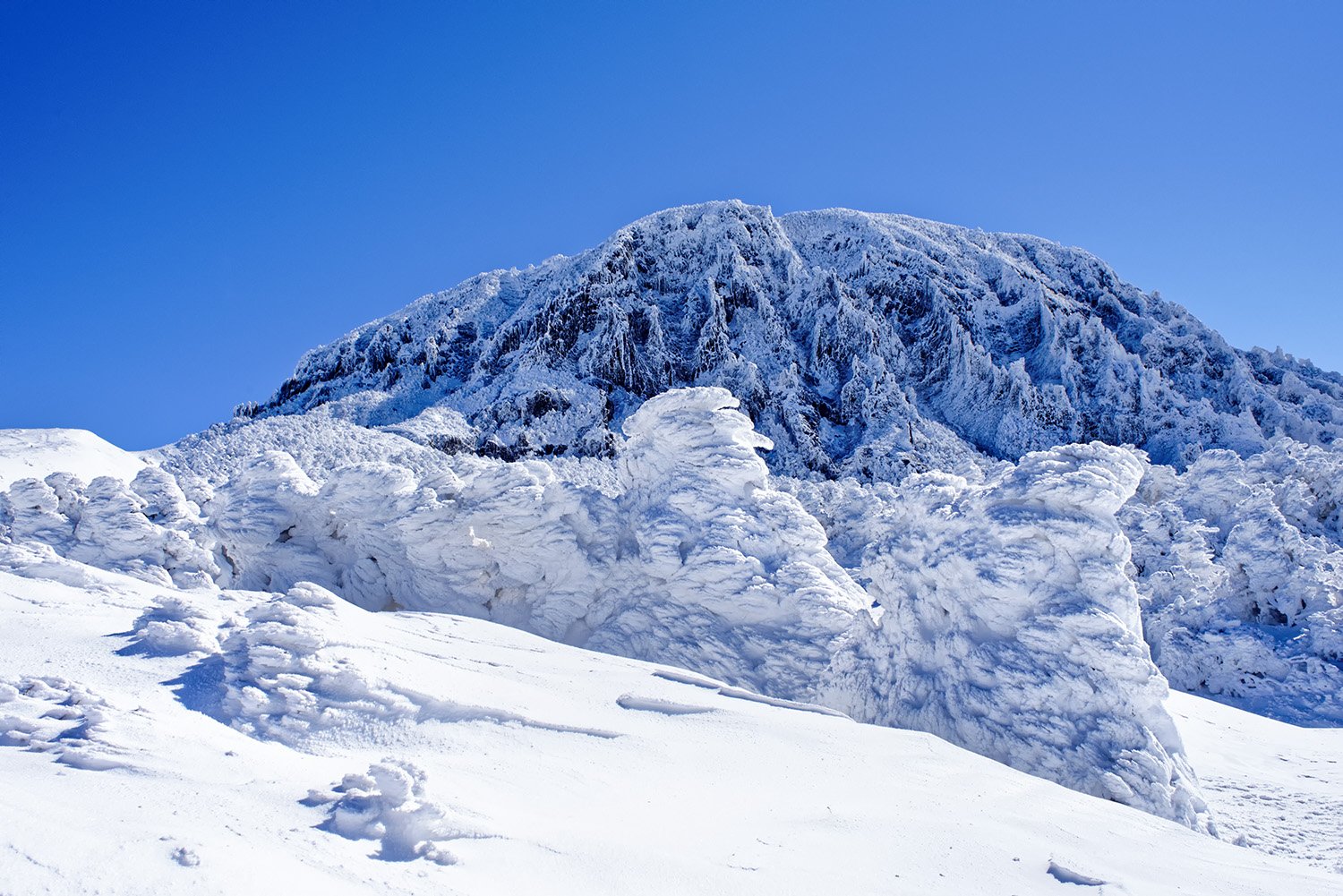 20160217 104401-132D-15.jpg