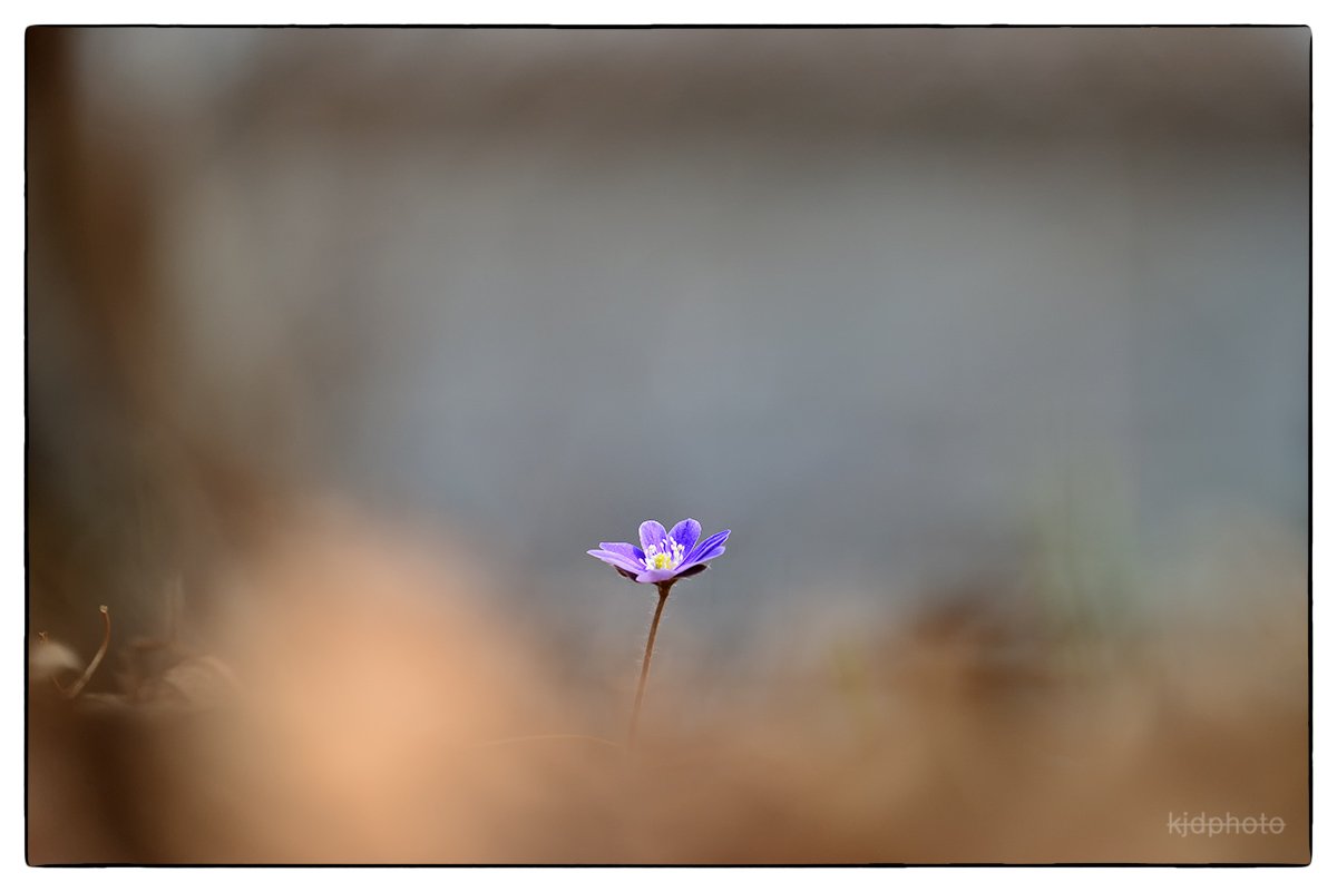 2018-03-28 13-22-09-82-12.jpg