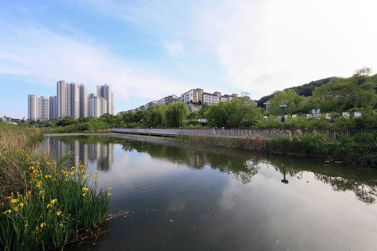 2029 CH4A5989-2 r.jpg