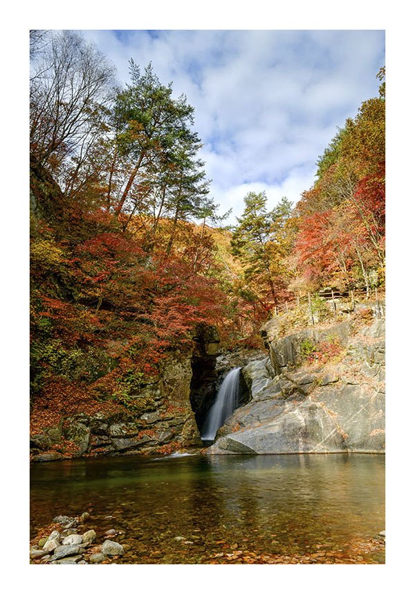 제목 없음-900+.jpg