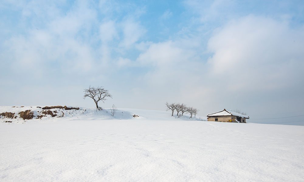 제목 없음-1000.jpg