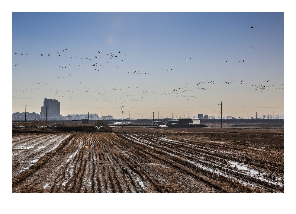 4J1A1427 편집1-4 편집2.JPG