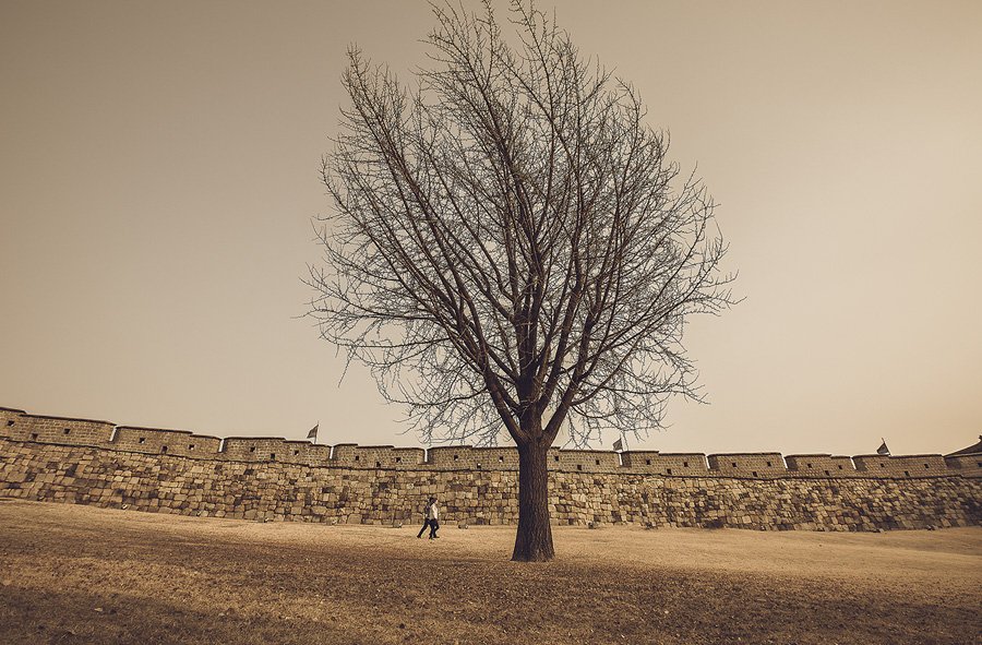 insta 수원 화성 산책 1 -1.jpg