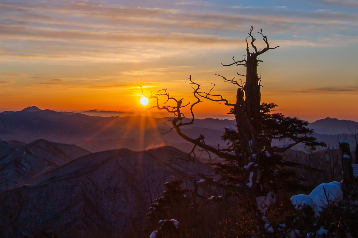 1202_제목 없음_11939-편집-2.jpg