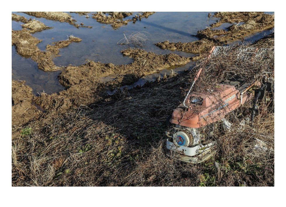 4J1A1422편집 1-3 편집2.JPG