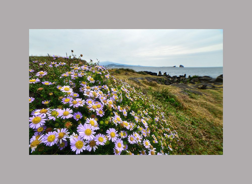 2016-10-31 12-18-27-16-10.jpg