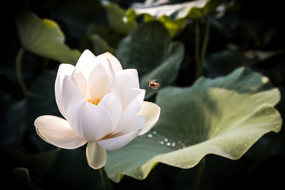 1607_제목 없음_1064.jpg