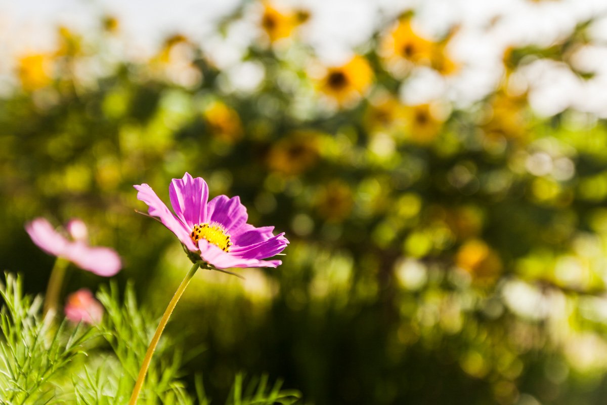 1607_제목 없음_1244.jpg