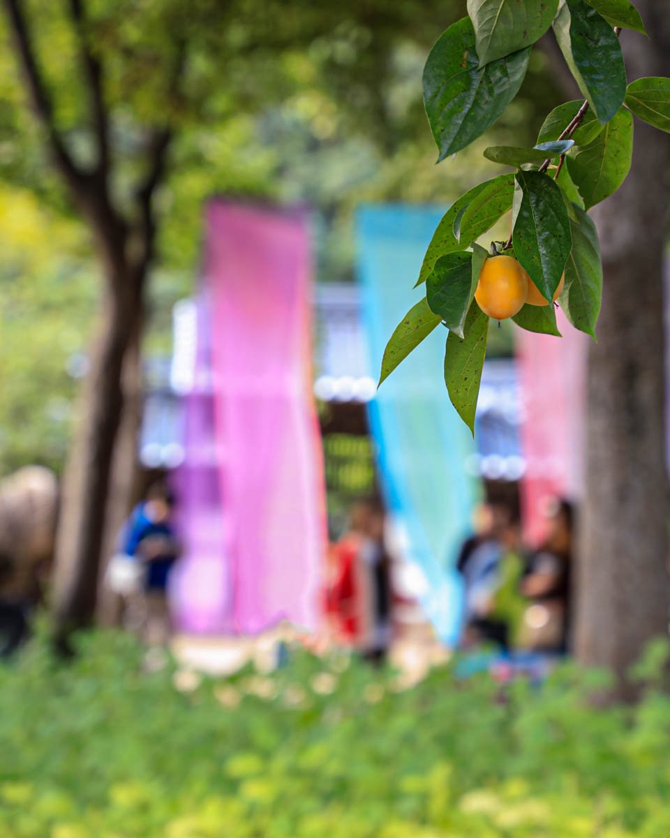 191009-민속촌 가을-875A4741-편집-2.jpg