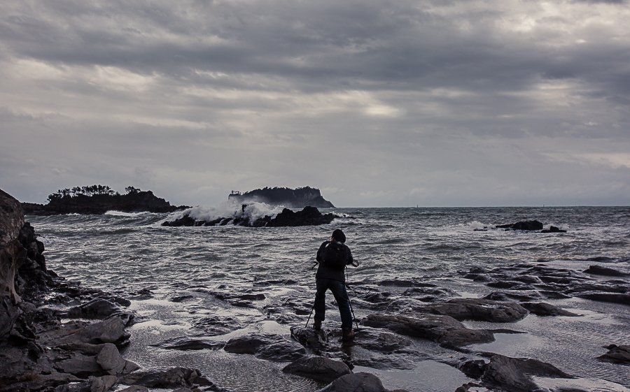 제주도 별따기님 2-1.jpg