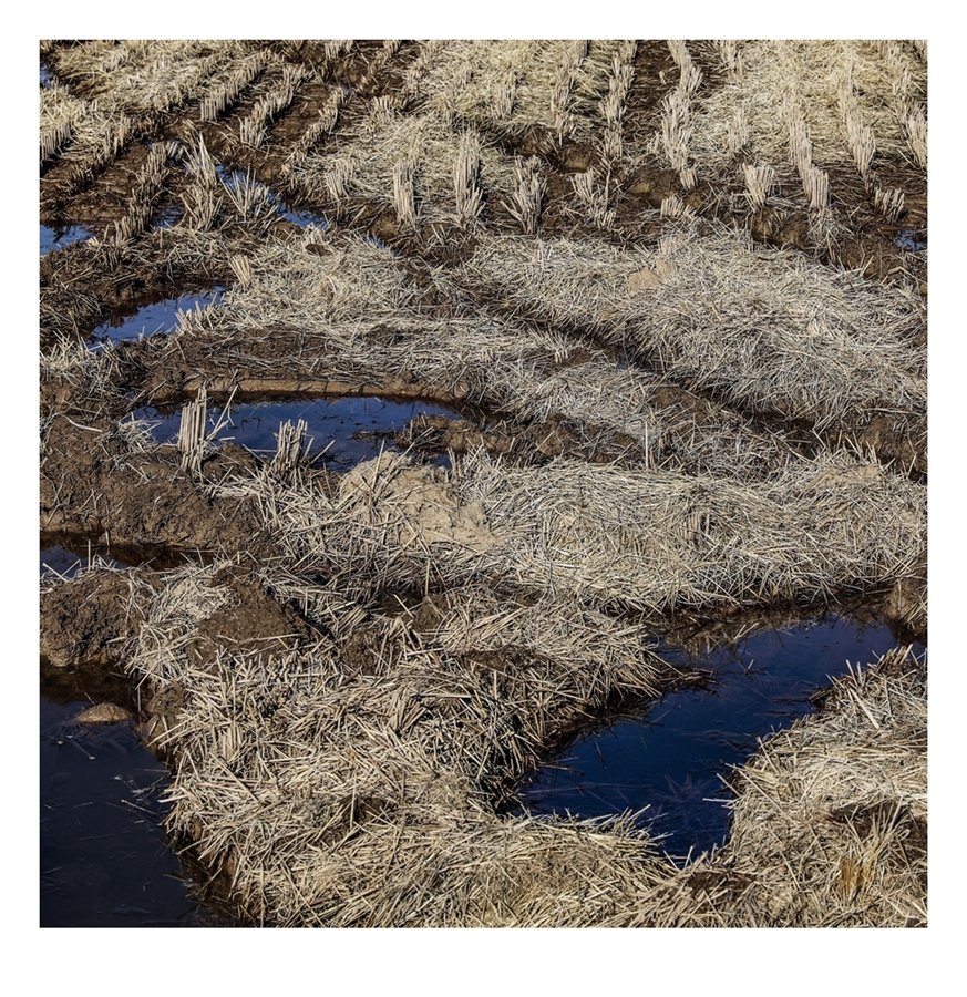 4J1A1450 편집1-2 편집2-2.jpg