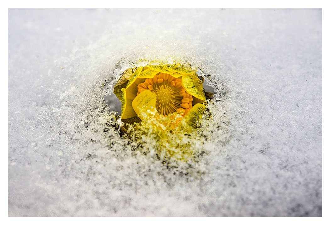 제목 없음-13.jpg