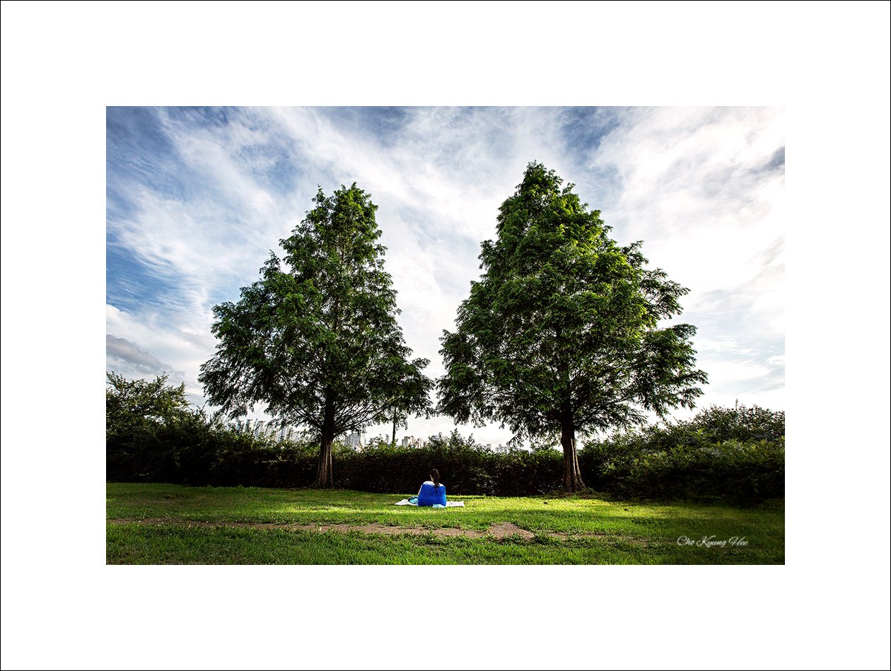 나무 그늘 1.jpg