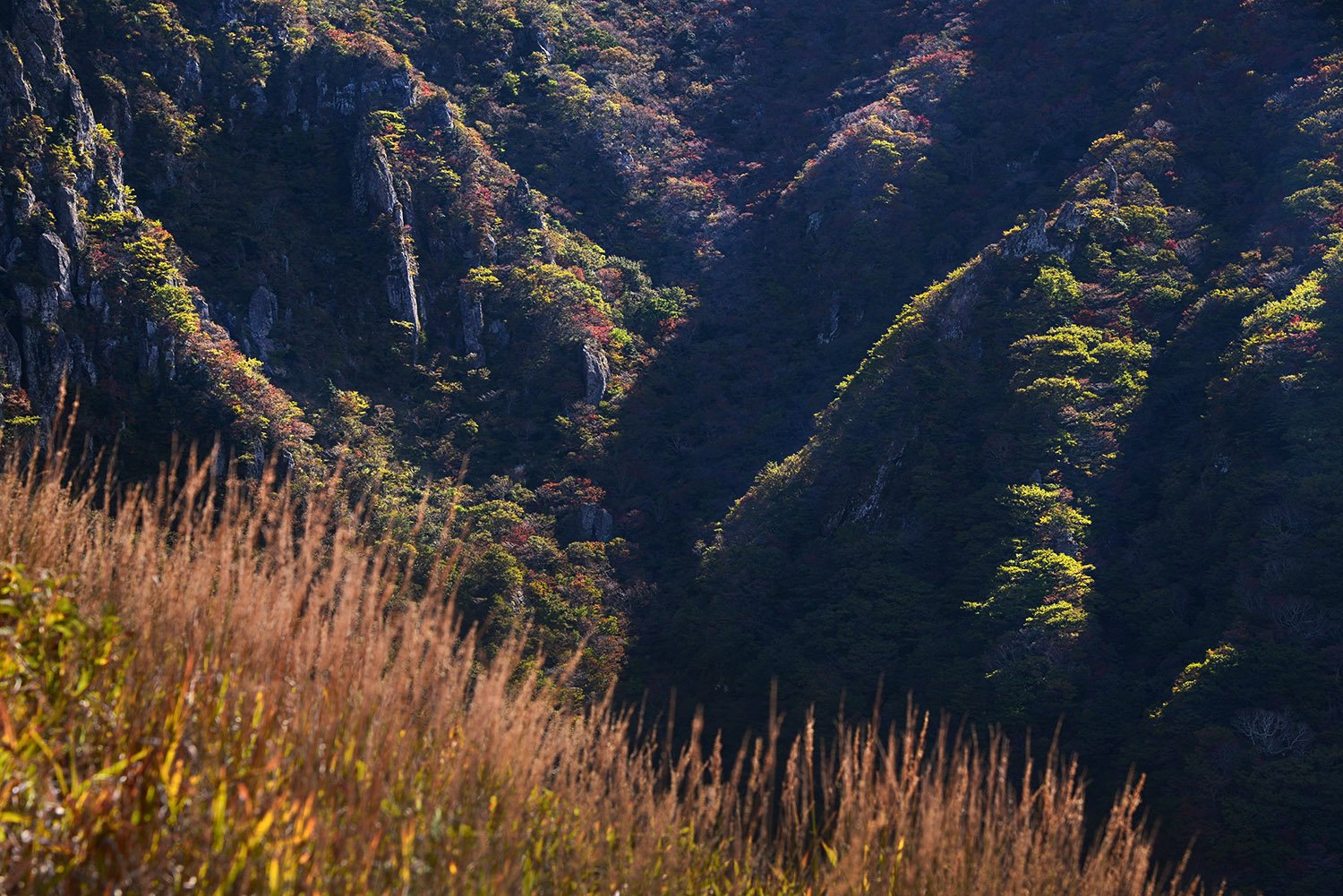 2016-10-14 10-02-59-262-15.jpg