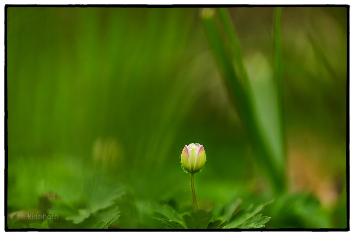 2018-04-04 13-45-46-134-12.jpg